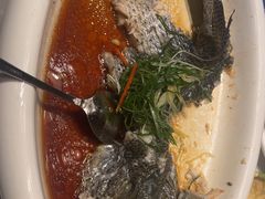 -陶缘一号·四季缘·老字号顺德菜·户外婚礼家宴(西滘店)