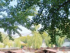 -尚庄度假村·庭台树下·户外烧烤·团建CS·轰趴营地(上庄水库店)
