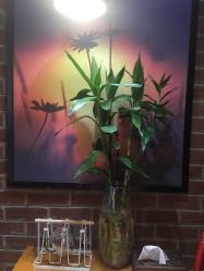 -时尚殿堂·颜SPA