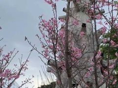-观澜湖生态运动公社