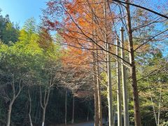 -泽雅景区