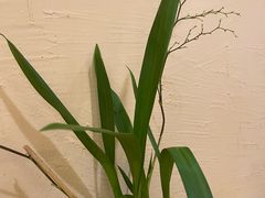 -小木屋米酒店·韩国料理(深圳总店)