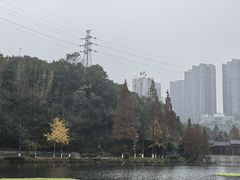 -重庆彩云湖湿地公园