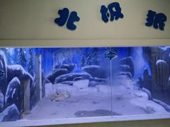 -石林冰雪海洋世界