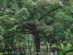 -人民公园(罗湖区)