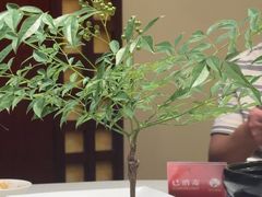 -上海精菜馆(虎踞关店)