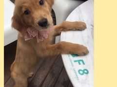 -FUTURE LOUNGE(太古里店)