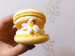 桂花半熟芝士马卡龙-好利来(欧亚商都店)