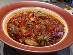 情妹耙泥鳅-情妹耙泥鳅·江湖川菜(科华店)