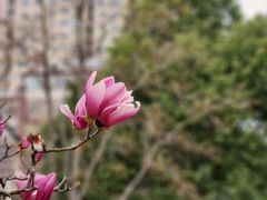 -白塘生态植物园