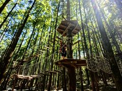 -山王坪喀斯特国家生态公园
