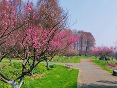 -上海海湾国家森林公园