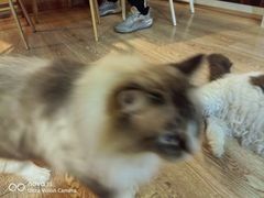 -白兔子密室(长寿路店)