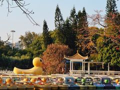 -荔枝公园(福田区)