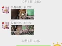 -宠福鑫动物医院(城北分院)