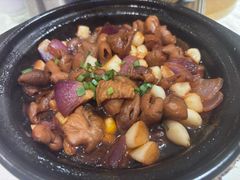 -凯鸽酒楼(操场城店)