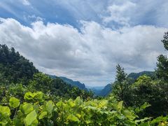 -娄山关景区