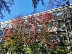 -北京理工大学(中关村校区)