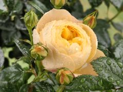 -人民公园(罗湖区)