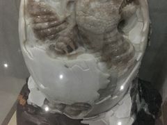 -中国西峡恐龙遗迹园