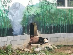 -南昌动物园