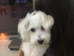 -佳雯宠物医院(四明中路分院)