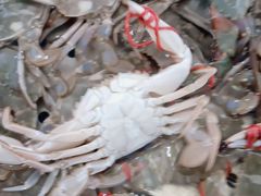 -孙家码头海鲜自助美食城