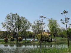 -暨阳湖生态园