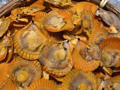 -非烤勿扰自助烤肉(东城时尚店)