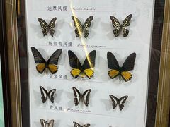 -蝴蝶泉公园