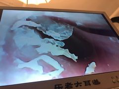 -乐老大耳道·可视采耳·禅洗(柏林爱乐直营店)