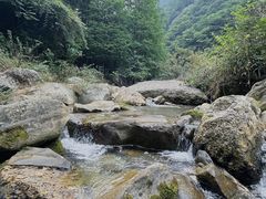-龙窝子