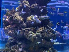 -成都浩海立方海洋公园