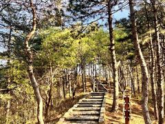 -京东石林峡风景区