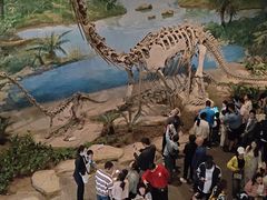 -自贡恐龙博物馆