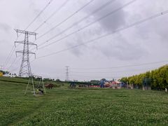 -紫颐香薰山谷景区