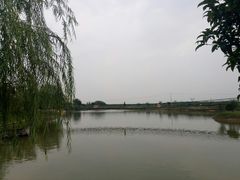 -枫林花海