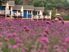 -紫海香堤香草艺术庄园