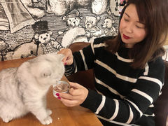 -猫小院猫主题餐厅(三里屯店)