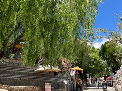 -玉湖村