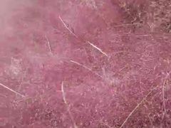 -羊亭河湿地公园