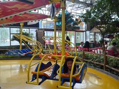 -南宫五洲植物乐园