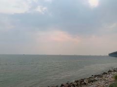 -宝安西湾红树林湿地公园