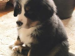 -COSTA COFFEE(龙德广场店)