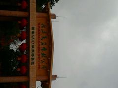 android_upload_pic-广东茂名森林公园