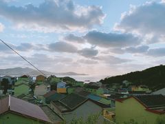 -枸杞岛