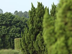 -南沙蒲洲花园