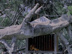-深圳野生动物园