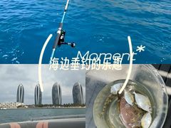 -小猫钓鱼海钓俱乐部(椰梦长廊店)