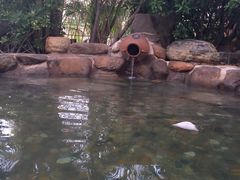 -厦门日月谷温泉渡假村